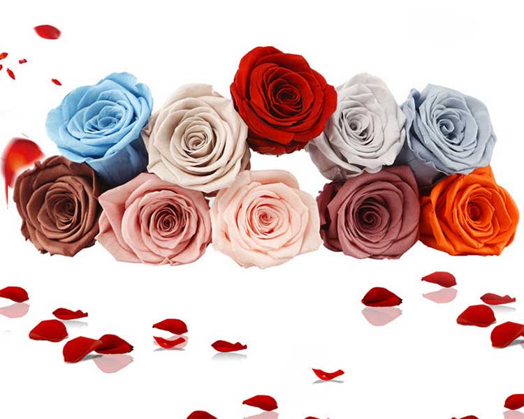 Everlasting Flower 8 flowers Rose Gift Box