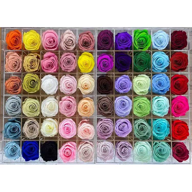 जतन केलेले गुलाब